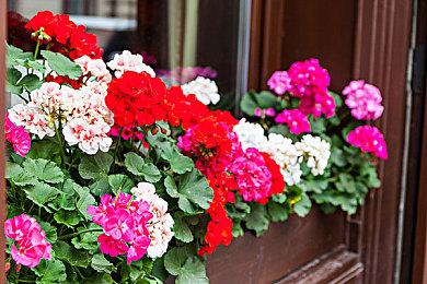 《圣战群英传：解放》女主同伴奥莱恩介绍 青梅竹马